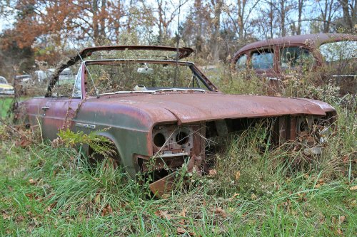 The junkyard gems of Lyon’s Vintage in Loretto, Kentucky