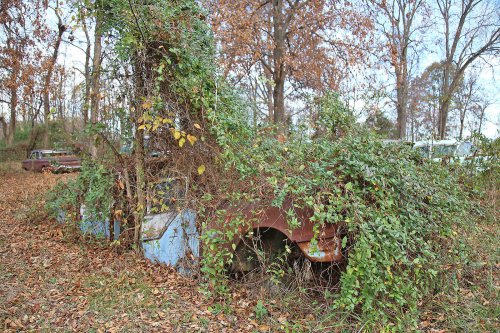The junkyard gems of Lyon’s Vintage in Loretto, Kentucky