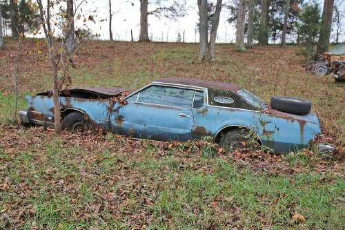 The junkyard gems of Lyon’s Vintage in Loretto, Kentucky