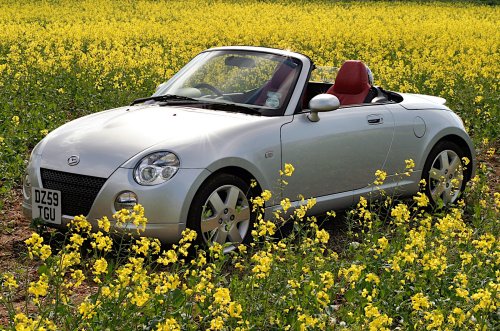 24 totally charming cars