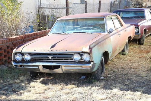 Junkyard discoveries of Ulibarri’s Auto Towing Service in Las Vegas, New Mexico