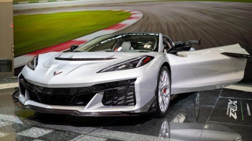 5 exotics that are more practical than you might expect