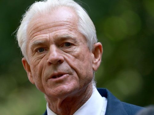 Tentang Tarif Impor AS, Bos Tesla Elon Musk Sebut Penasihat Ekonomi Trump Bodoh