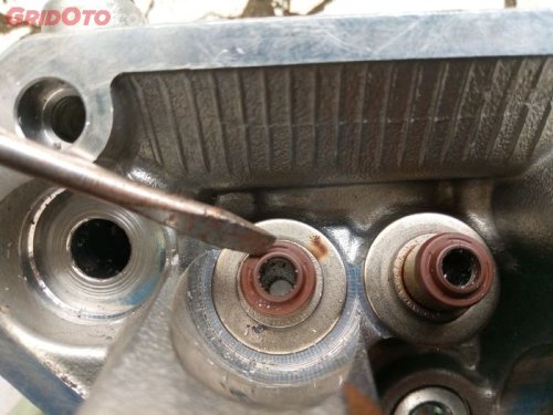 Cara Simpel Cek Kondisi Sil Klep Motor Perlu Diganti Atau Tidak