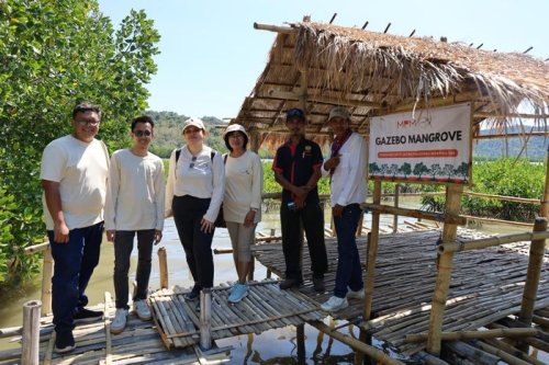 Honda, MPM Honda Jatim dan MPMX Bergandeng Tangan, Tanam 40 Ribu Bibit Mangrove di Manggarai Barat