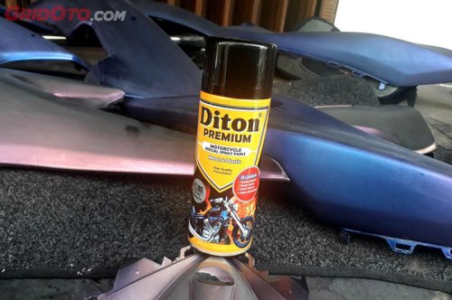 Warna Dolphin Lagi Tren, Segini Kisaran Biayanya Pakai Cat Semprot