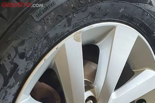 Muncul Jamur di Pelek Mobil? Begini Tips Merawat dan Membersihkannya