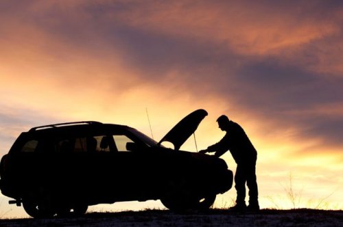 Jangan Anggap Enteng, Semut Bersarang di Mobil Bisa Bikin Mogok