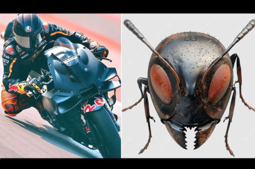 Fairing Baru KTM Mirip Kepala Semut, Jangan Remehkan Wajah Lucunya