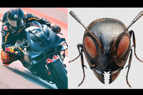 KTM, Fairing Baru KTM Mirip Kepala Semut, Jangan Remehkan Wajah Lucunya