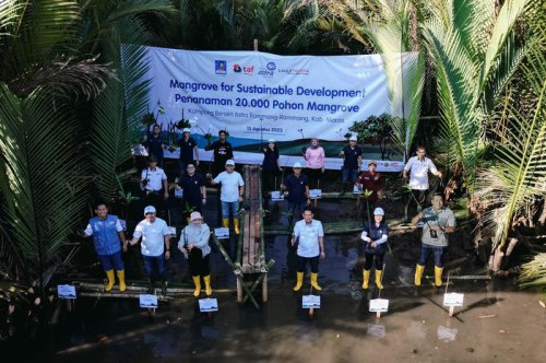 Astra Group dan Kalla Toyota Gandengan Tangan, Tanam 20.000 Bibit Mangrove di KBA Rammang-Rammang, Maros