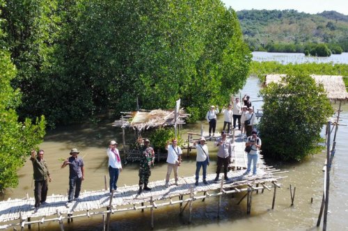 Honda, MPM Honda Jatim dan MPMX Bergandeng Tangan, Tanam 40 Ribu Bibit Mangrove di Manggarai Barat