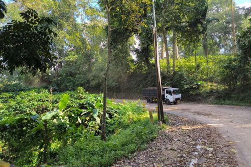 Fakta Sejarah Jalur Legendaris Gumitir Jember, Salah Satu Tempat Buang Mayat PKI