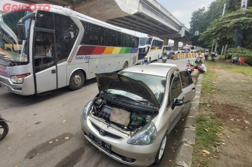Awas Semut Bisa Bikin Mobil Mogok, Komponen Ini yang Diserang