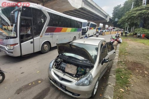 Awas Semut Bisa Bikin Mobil Mogok, Komponen Ini yang Diserang