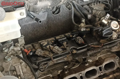 Cegah Tikus Masuk ke Ruang Mesin Mobil, Ini Langkah dan Tips nya!