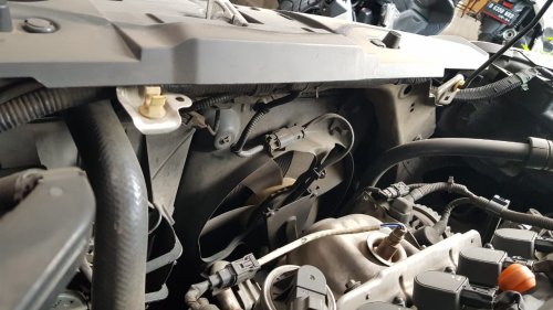 Ini Sebabnya Gak Boleh Ganti Tutup Radiator Mobil Bekas di Bawah Standar
