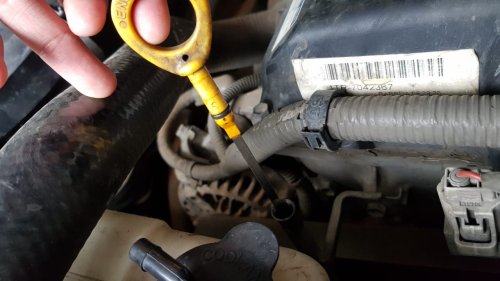 Banyak Yang Salah, Ini Cara Cek Dipstick Oli Mesin Mobil Bekas Yang Benar