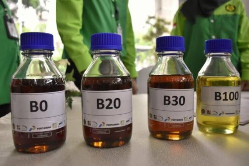 Juli Tahun Ini, Program Bio Diesel 50 Wajib Diimplementasikan