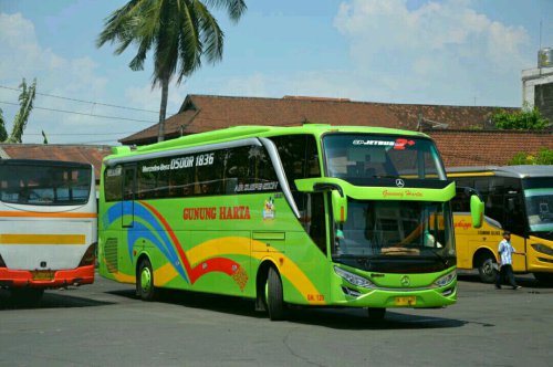 Bikin Kecele, Anak Usia Segini Ternyata Sudah Wajib Bayar Tiket Bus