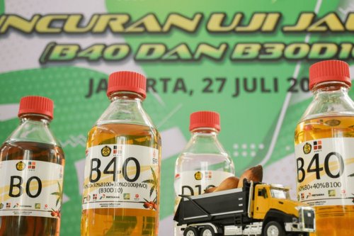 Indonesia Berani, Rencana Stop Impor Solar Fokus Kembangkan Kebun Sawit dan Tebu
