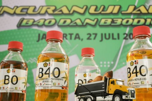 Indonesia Berani, Rencana Stop Impor Solar Fokus Kembangkan Kebun Sawit dan Tebu