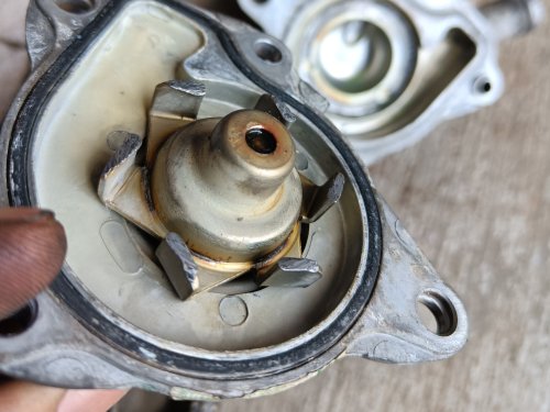 Di Sinilah Sumber Penyebab Oli Mesin Motor Matic Honda Vario 125 Jadi Putih Susu