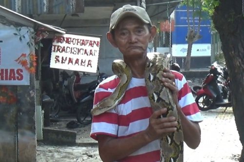 Cara Mbah Subadri Usir Pemotor Jajah Trotoar di Kramat Jati, Pagi Sore Angon Ular Piton Gede