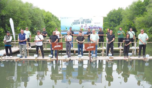 Misi Mulia Demi Bumi BYD dan Komunitas Beyond, Tanam 500 Bibit Mangrove di Angke PIK Jakut