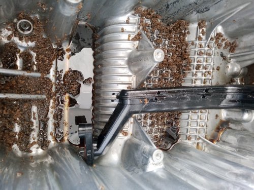 Kenapa Mobil Terendam Banjir Harus Segera Ditangani? Ini Risikonya