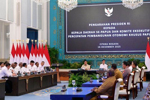 Prabowo, Ambisi Prabowo Hasilkan BBM Nabati, Instruksikan Tanam Sawit di Papua
