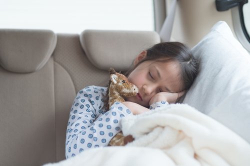 Sering Kejadian Saat Mudik, Ini Bahayanya Tidur Di Dalam Mobil Berhenti