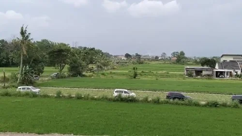 Kena Tipu, Ratusan Mobil Tersasar Masuk Area Sawah saat Menuju Gerbang Tol Purwomartani