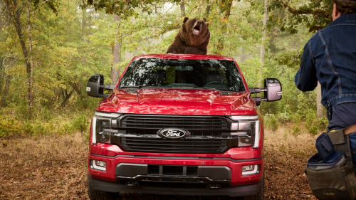 Ford Hired An 800-Pound Bear To Test F-150 Security