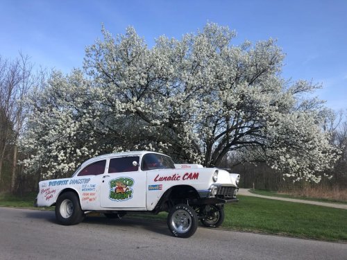 1956 Chevrolet 150  