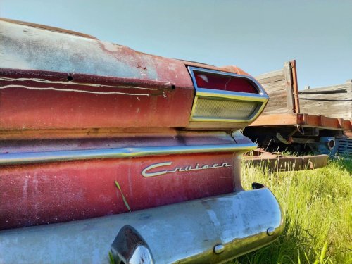 Barn Finds Explained: How to Spot, Evaluate, and Buy a Hidden Classic