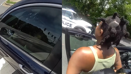 Georgia Woman Refused To Roll Down Window, Hand Over License, or Cooperate. Then She Drove Away, Police Say