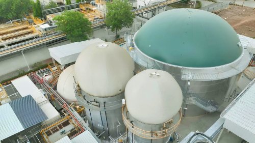 Suzuki Is Converting Cow Manure Into Car Fuel