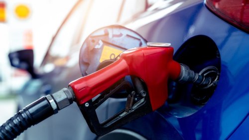Two Automakers Are Testing Renewable Fuel For Existing Vehicles— And It Could Save the Future of Gas-Powered Cars