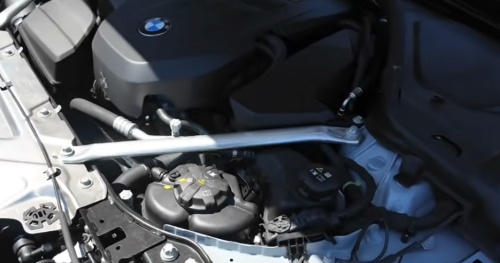 Squirrels Racked Up $30,000 in Damage on One Man's BMW Fleet, and His Story Is a Warning Every Car Owner Needs to Hear