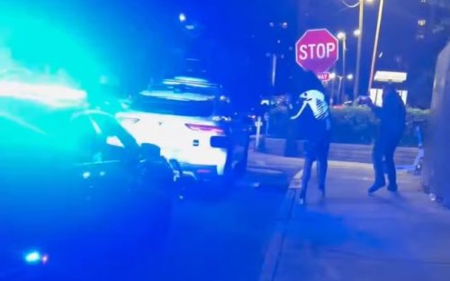 Police Sirens Weren't Enough—Waymo Robotaxi Traps Atlanta Patrol Car