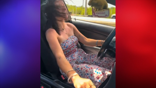 Viral Viral Video of Woman Singing While Driving Manual Sparks Debate Over Excessive Gear Shifting
