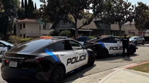 Police Tesla Fleet Costs Under $500 a Year to Run, and Now the City Wants More