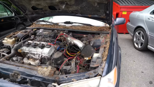 Rare Supercharged Toyota Camry TRD Rescued From Junkyard After Sitting Abandoned For Nearly 20 Years