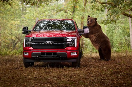 An 800-Pound Kodiak Bear Tested Ford F-150's Security Package By Shaking the Truck and Breaking In