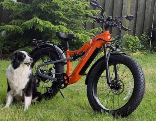Good Dogs! Puckipuppy’s Labrador And GoldenR Pro E-bikes Love To Play