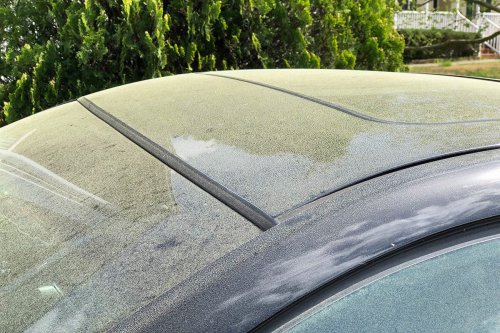 Is Your Car Allergic to Pollen, Too? How to Deal With Pollen On and In Your Car