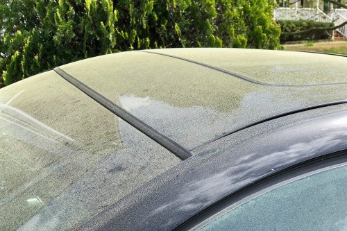 Is Your Car Allergic to Pollen, Too? How to Deal With Pollen On and In Your Car