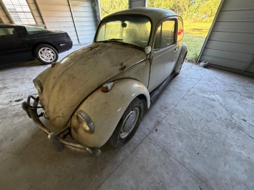 1967 Volkswagen Beetle Barn Find: 23,000 Original Miles and Counting in Lakeland, Florida