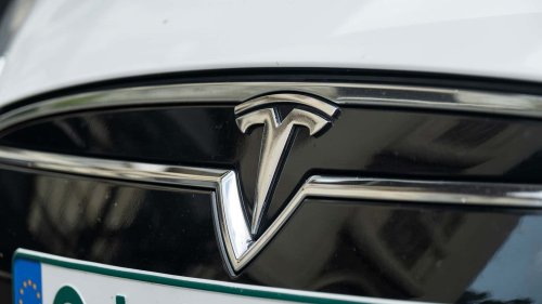 Elon Musk Hurts Tesla More Than China Ties Hurt BYD, Survey Finds